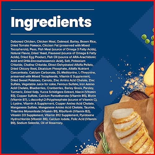 Miniatura 6 de Blue Buffalo Life Protection Formula Natural Puppy Small Breed Dry Dog Food