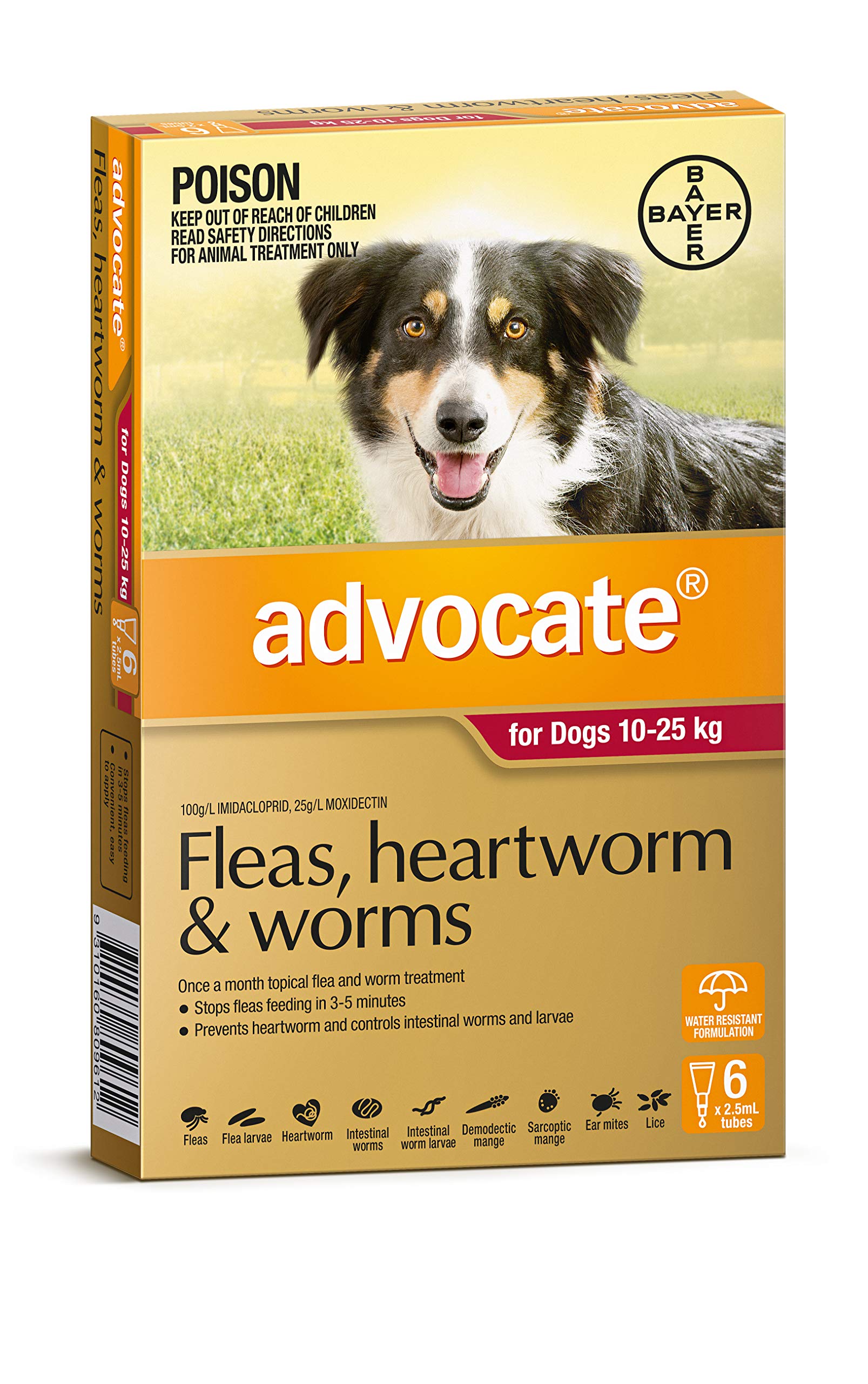advocate fleas heartworm and worms for dogs