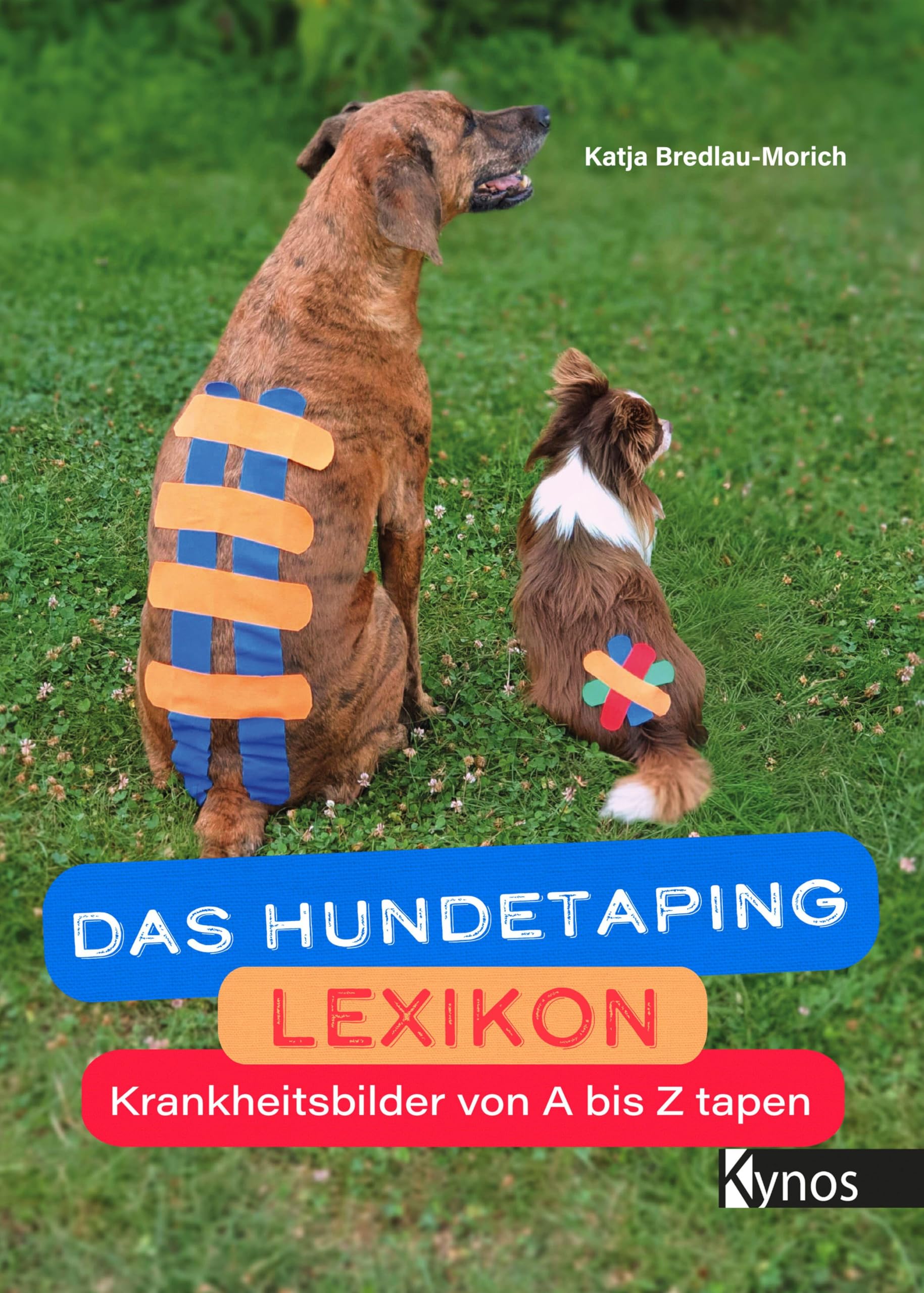 Das Hundetaping Lexikon: Krankheitsbilder von A bis Z tapen