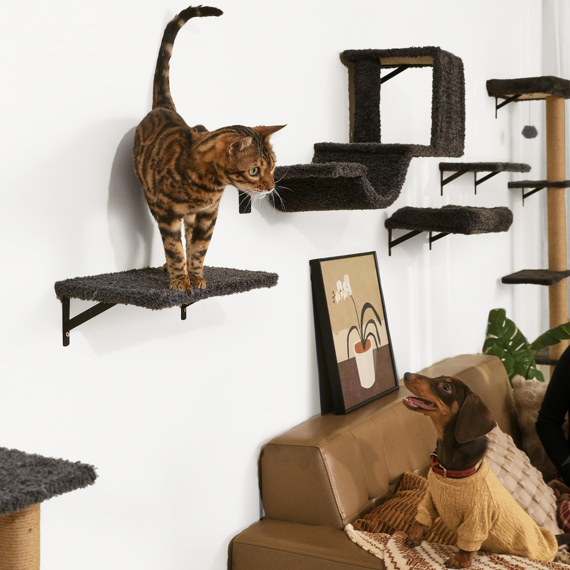 にゃる　インテリア Amazon.com : FUKUMARU Cat Wall Shelves, Stable & Safe 5 in 1 Cat