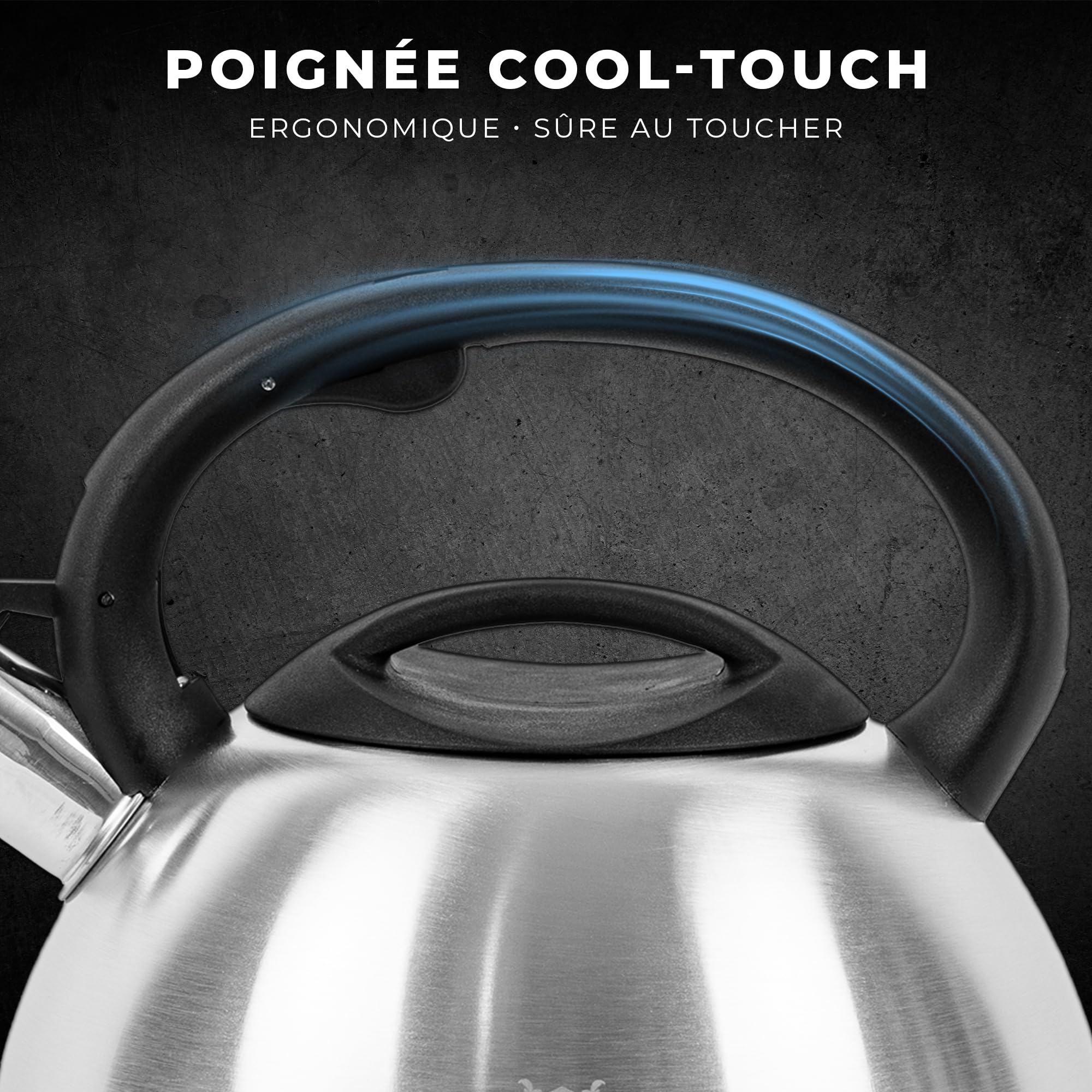 KARL HAUSMANN Bouilloire Induction 3L Inox avec Sifflante - Theiere Cuisine pour Plaque Gaz, Vitrocéramique et Électrique - Grande Capacité Eau Chaude avec Couvercle Amovible