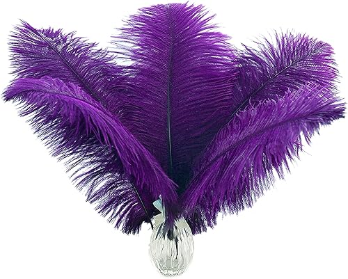 Ballinger Plumas de avestruz grandes moradas 12 plumas grandes de 14 a 16 pulgadas para jarrón alto, centros de mesa de fiesta de Mardi Gras y