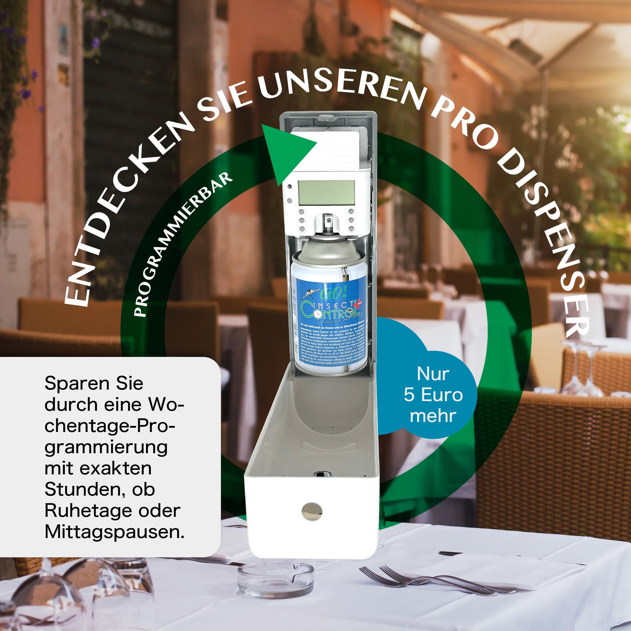 GO! Insect Control VORRAT: 6x Spray-Dosen zu 250ml - (6er-Pack) Insektenspray zur Fliegenabwehr gegen Schnacken, Stech-Mücken, Wespen, Fliegen u.a.(Gänseblümchen-Extrakt)…