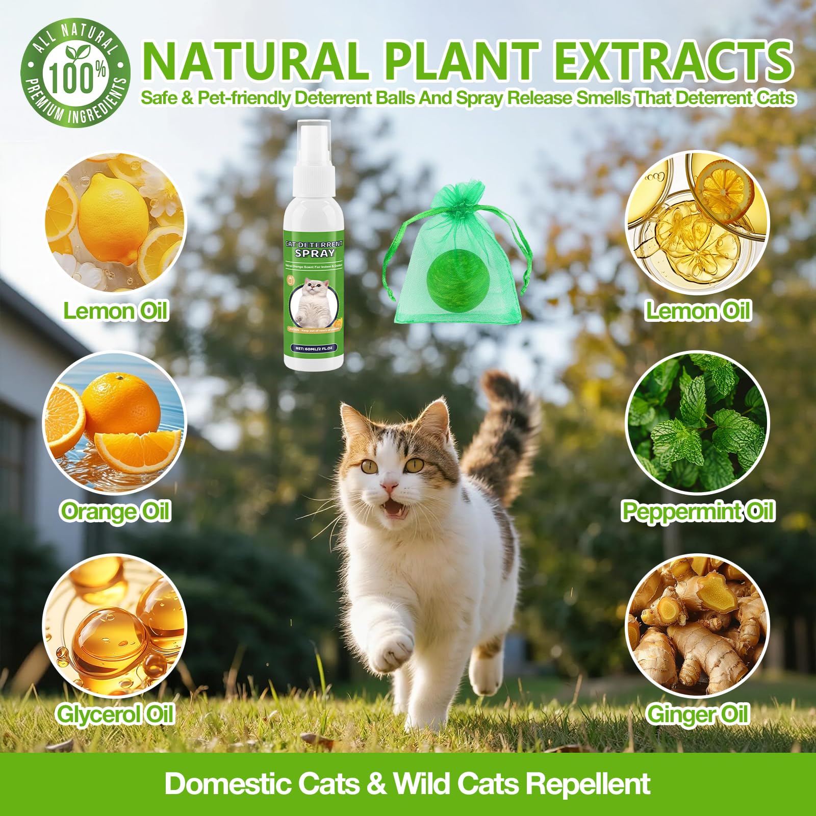 Katzenabwehrball & Spray, 60 ml Natürliches Pfefferminzöl-Abwehrspray für Katzen & Hunde draußen & drinnen, 12er-Pack ätherischen Ölbällen, hält Katzen von Garten und Möbeln fern