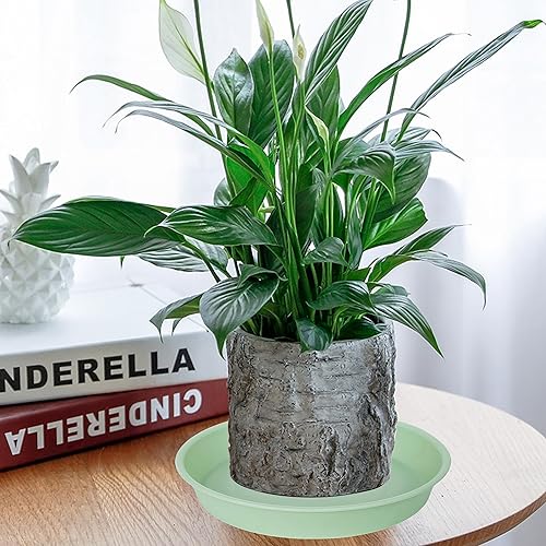 Miniatura 108 de Paquete de 6 platos para plantas, bandeja goteo agua, 4, 5, 6, 7, 8, 9, 10, 11, 12, 13, 15, 17, 19 pulgadas, resistentes, interior, exterior, base