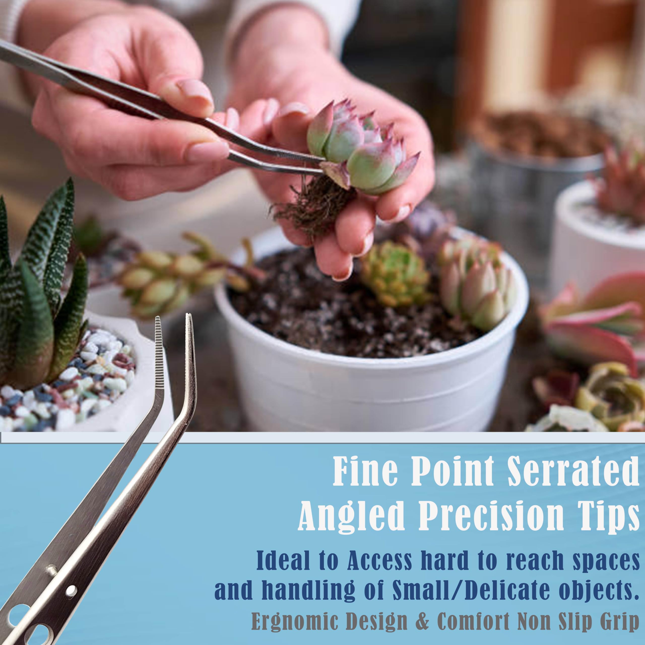 A2Z Professional Precision Bonsai Tweezers, Fine Tip Angled Stainless Steel Multipurpose Tweezers For plants & Succulents - Ideal for Precise Pruning, Weed Removal - Gardening & Kitchen Use - 6 Inch