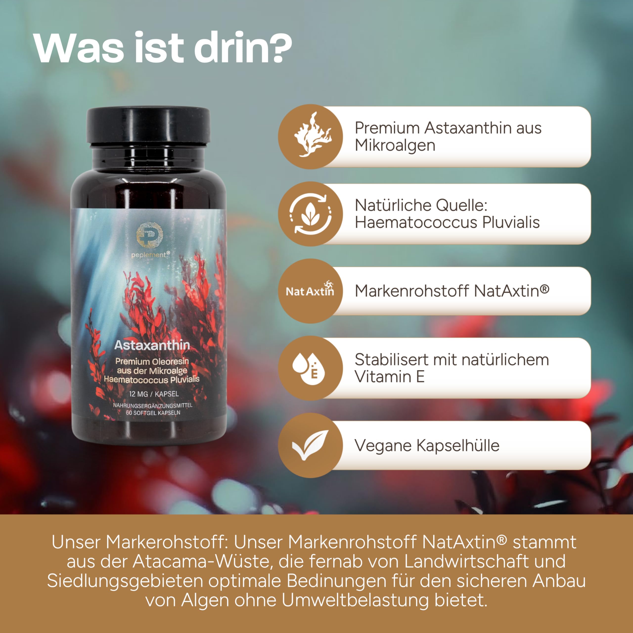 Astaxanthin Hochdosiert – Astaxanthin 12 mg Premium Oleoresin pro Kapsel | 60 Softgels aus Haematococcus Pluvialis | Vegan, Glutenfrei, Frei von Gentechnik | Hochdosiert & Natürlich