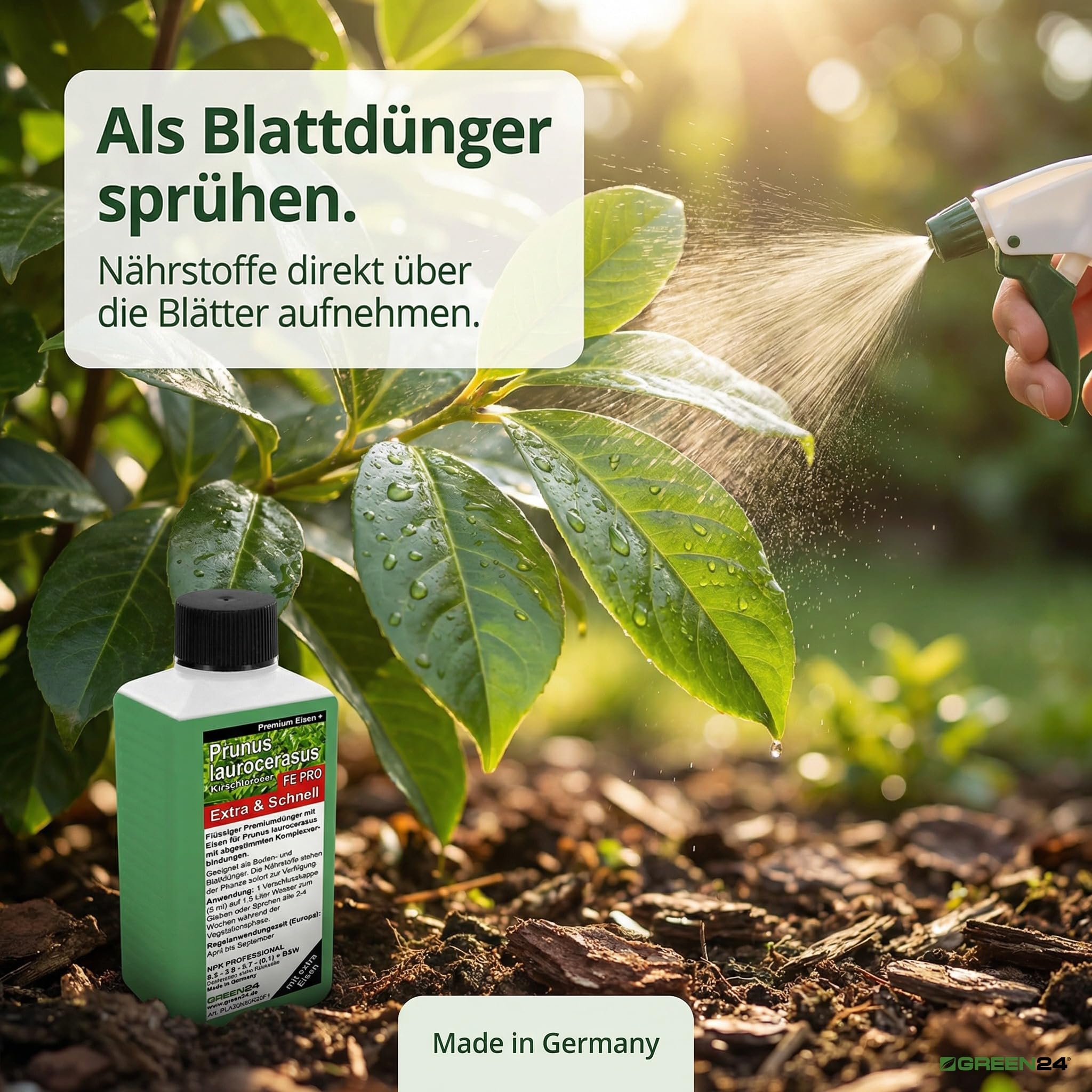 Prunus laurocerasus extra müller münchehof lauriers-nPK engrais à base de fer, engrais pour laurier plantes et les haies premium engrais liquide