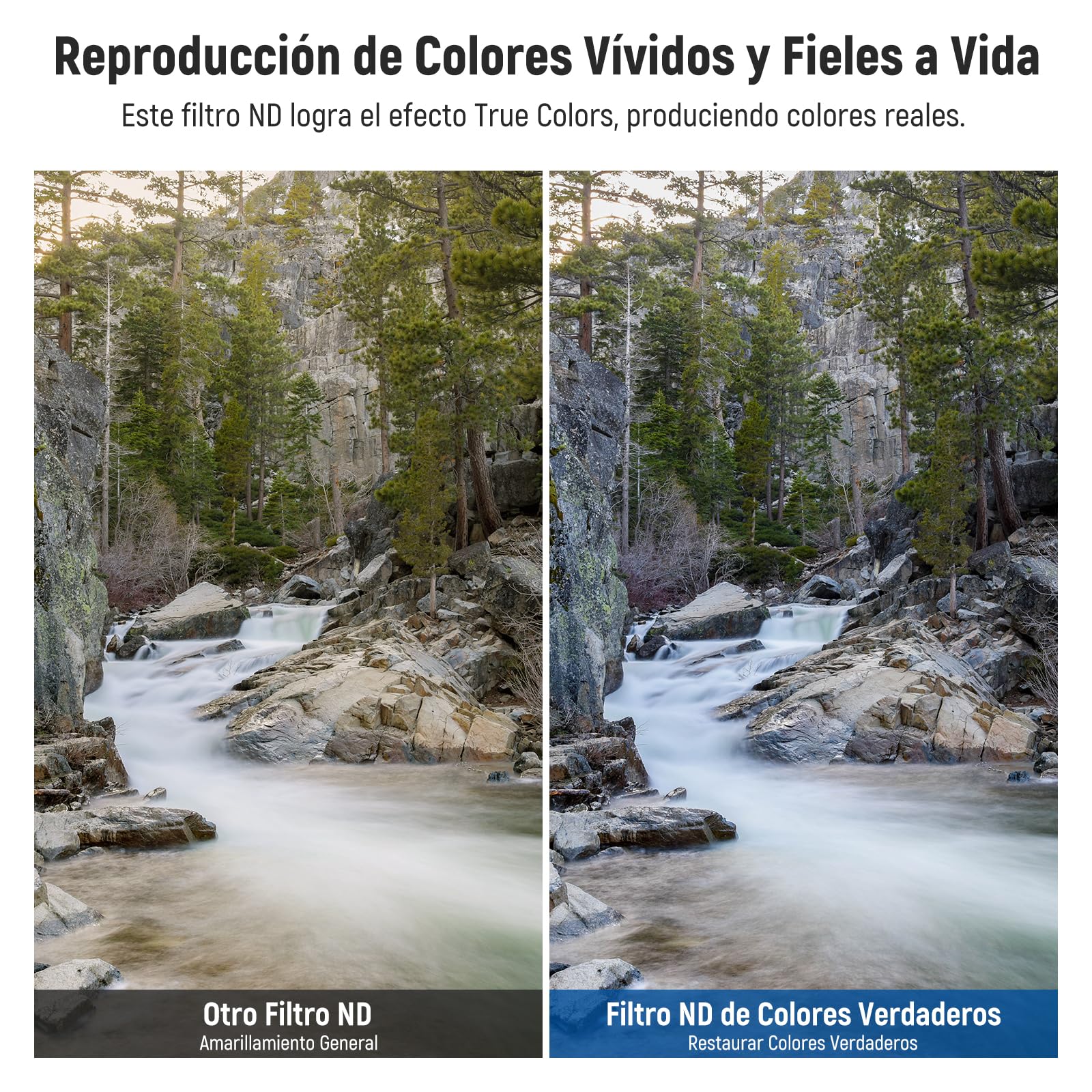 NEEWER Filtro ND y CPL Variable de 58 mm con Putter, ND3-64 (1.5-6 Paradas), 2 en 1 de Densidad Neutra Limitada Ajustable y Filtro CPL, Vidrio óptico HD Multicapa, Marco de Aluminio, Resistente a los
