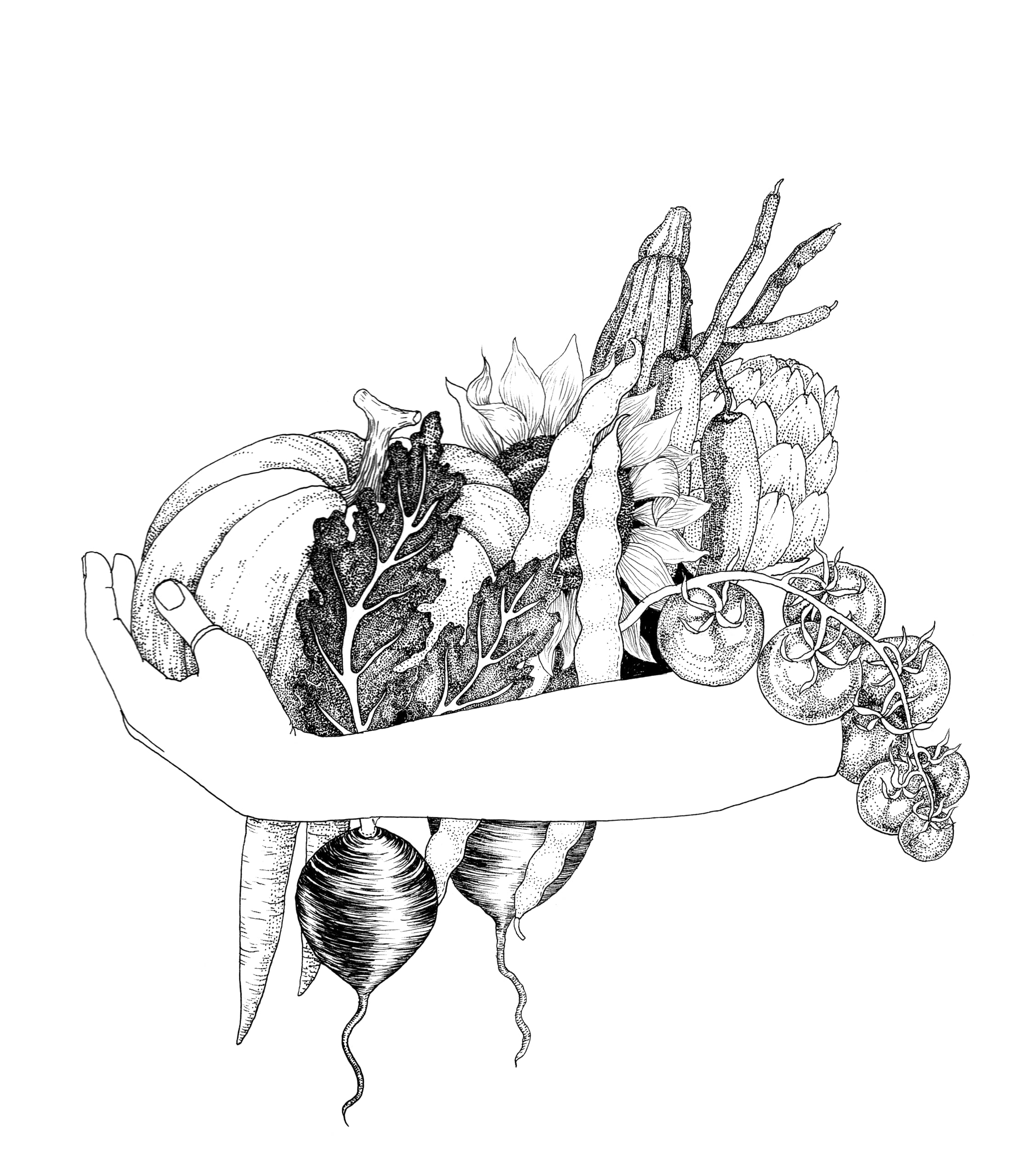 A Wilder Way: How Gardens Grow Us