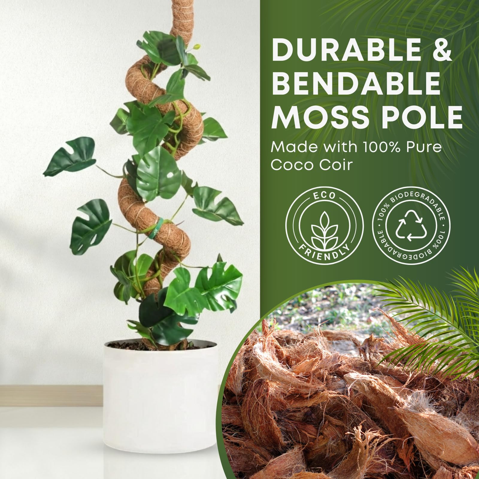 Amazon.com : Auraville Moss Pole Monstera Plant Support | 60 Inch Plant  Stakes for Indoor Plants | Coconut Palm Fiber Moss Poles for Climbing  Plants | Handmade Plant Sticks Support Tall Monstera,