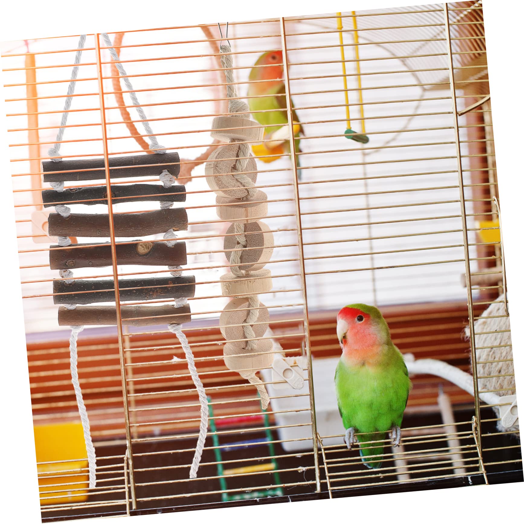 TOYANDONA 9pièces Jouets pour Oiseaux Jouets Élastiques pour Perroquets Cachette Noix De pour Cages à Oiseaux pour Perruches Et Calopsittes