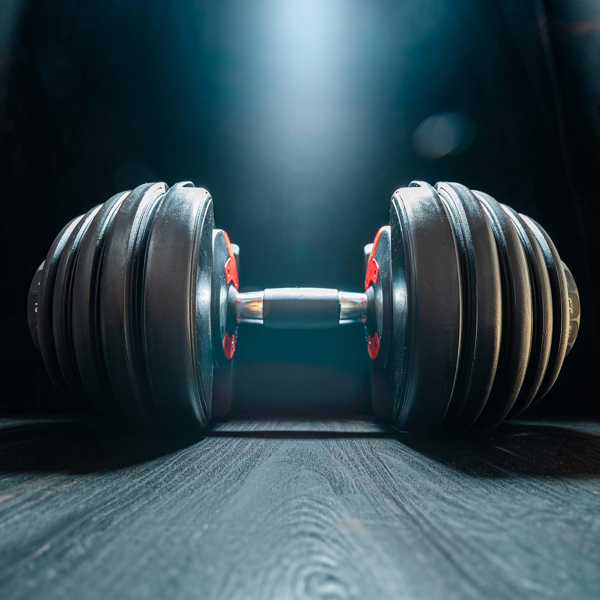 Verstellbare Kurzhantel mit Drehmechanismus Gewicht einstellbar von 2,5 bis 24 kg einstellbare Hantel Training Hantelset für Zuhause Kurzhantelset