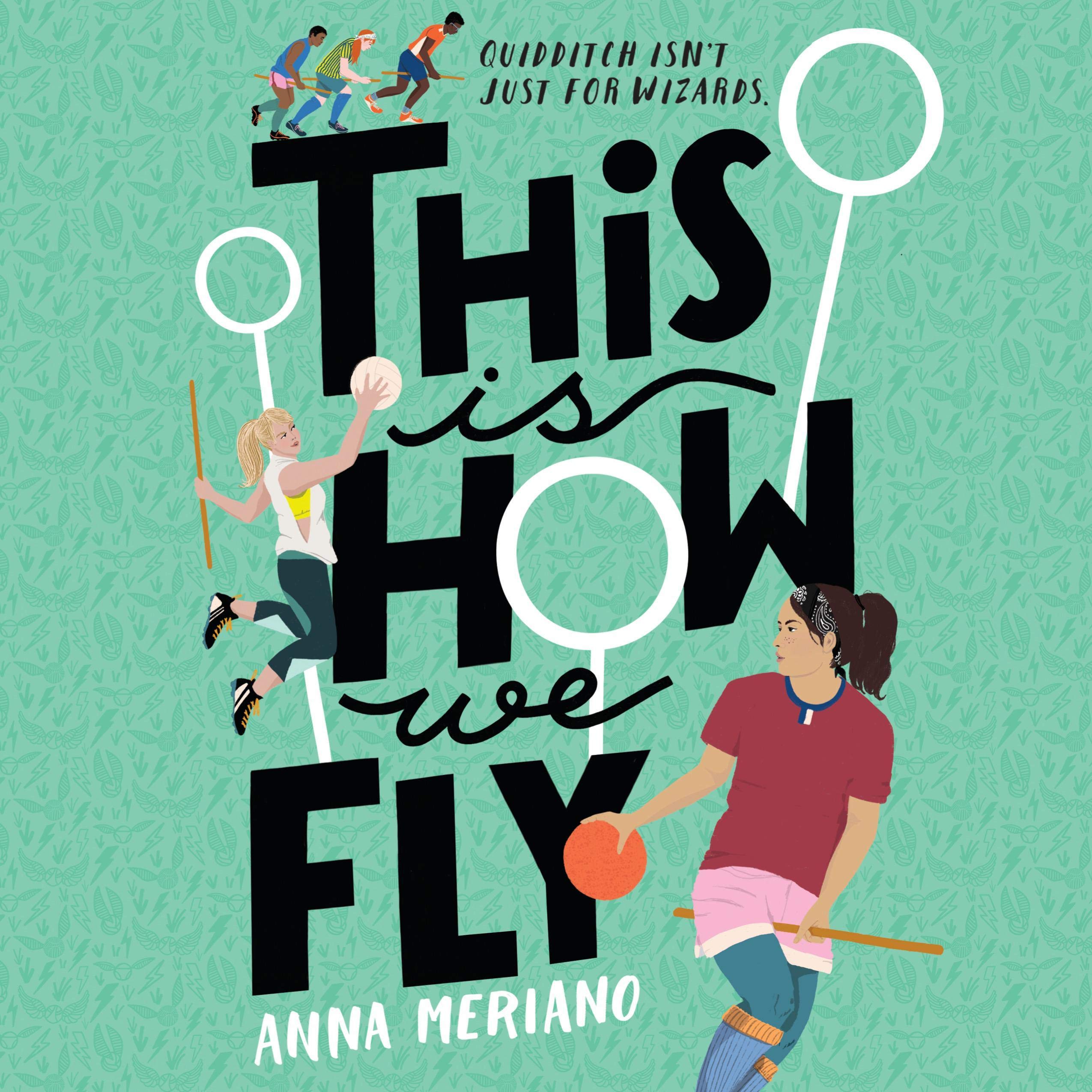 Cover art for This Is How We Fly