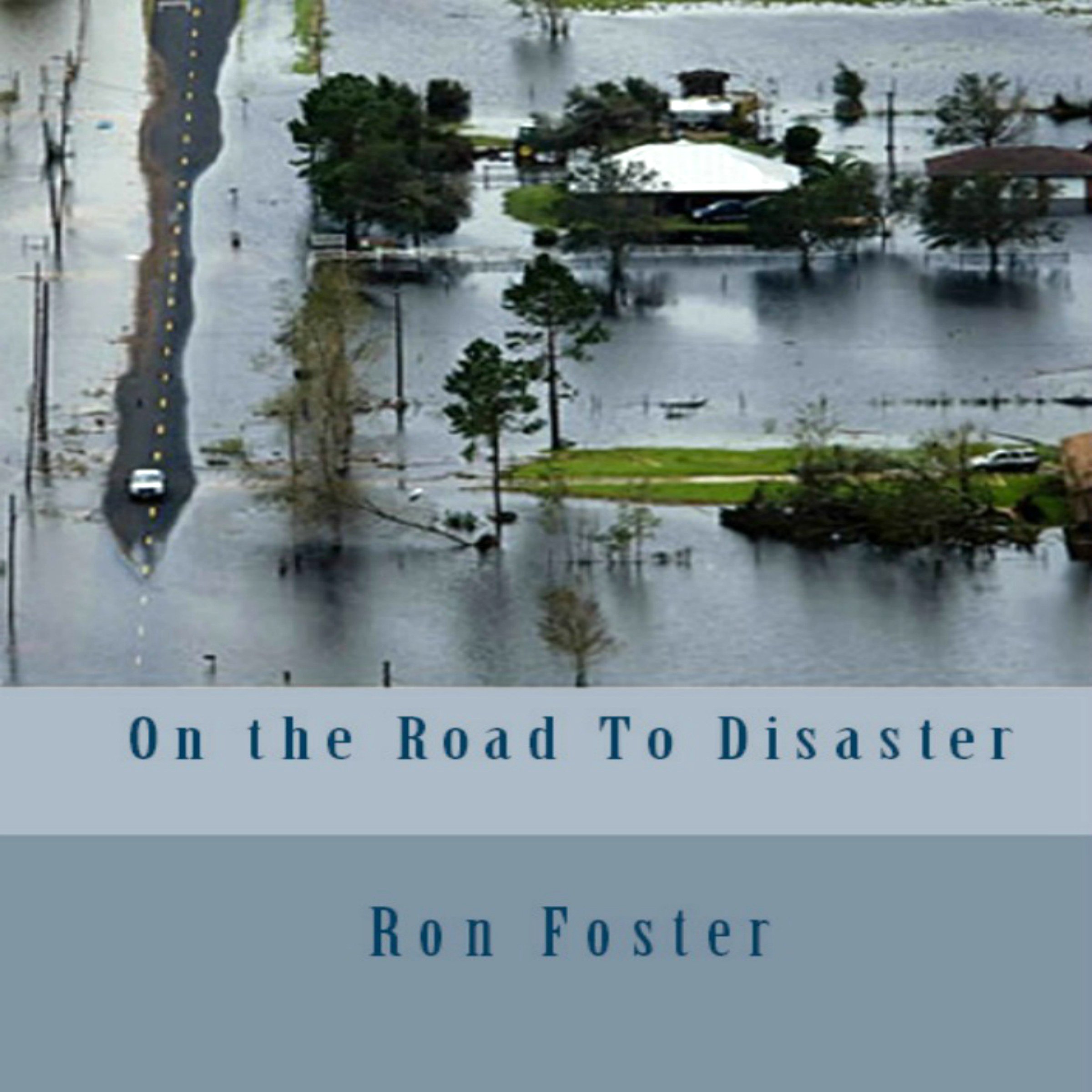 Cover art for On the Road to Disaster