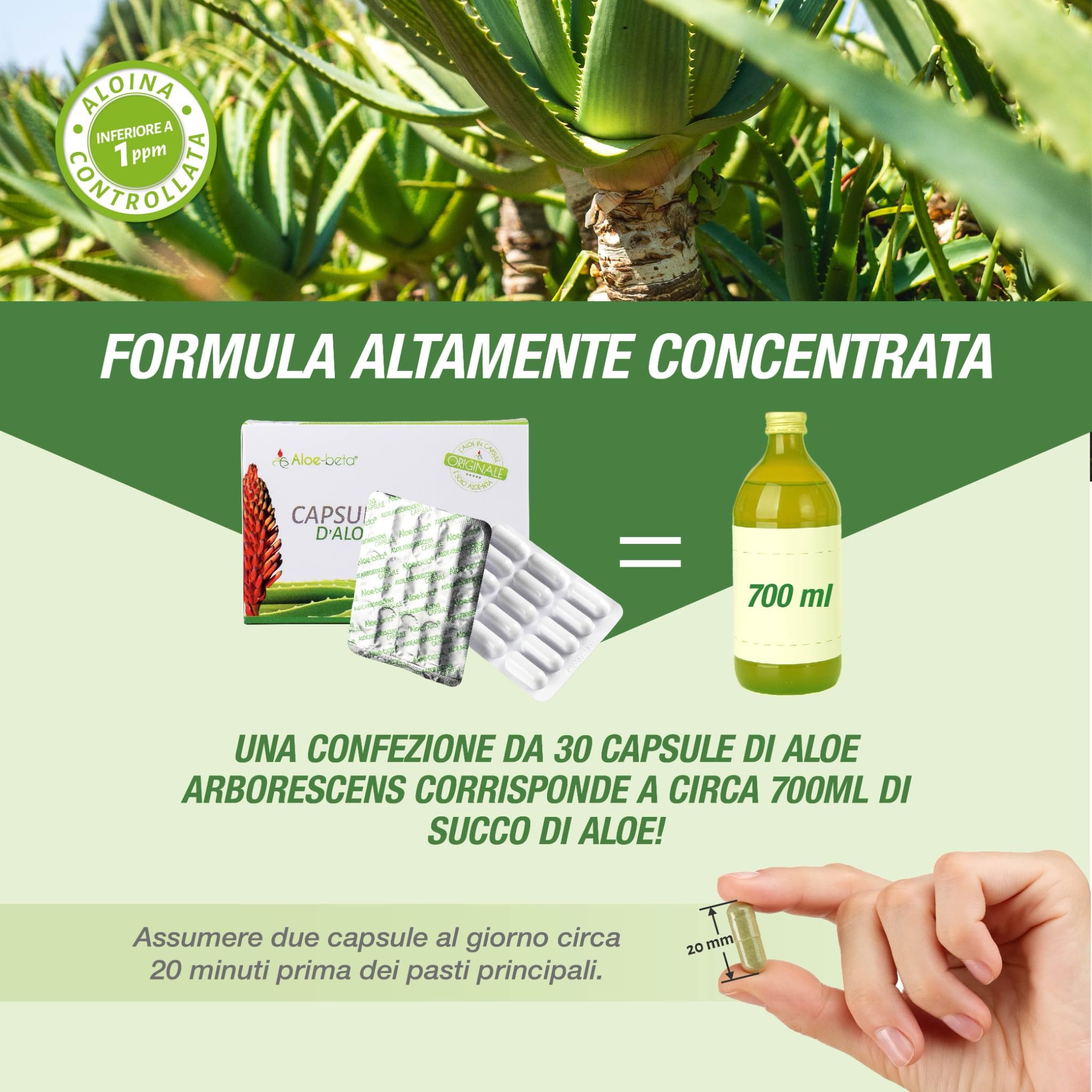 ALOEBETA Aloe Arborescens in Capsule Vegetali - Integratore Alimentare BIO, Stimola le Difese Immunitarie, Antiossidante, Depurativo-Senza Dolcificanti, Conservanti, 100% Vegan, Gluten Free, 30 Caps