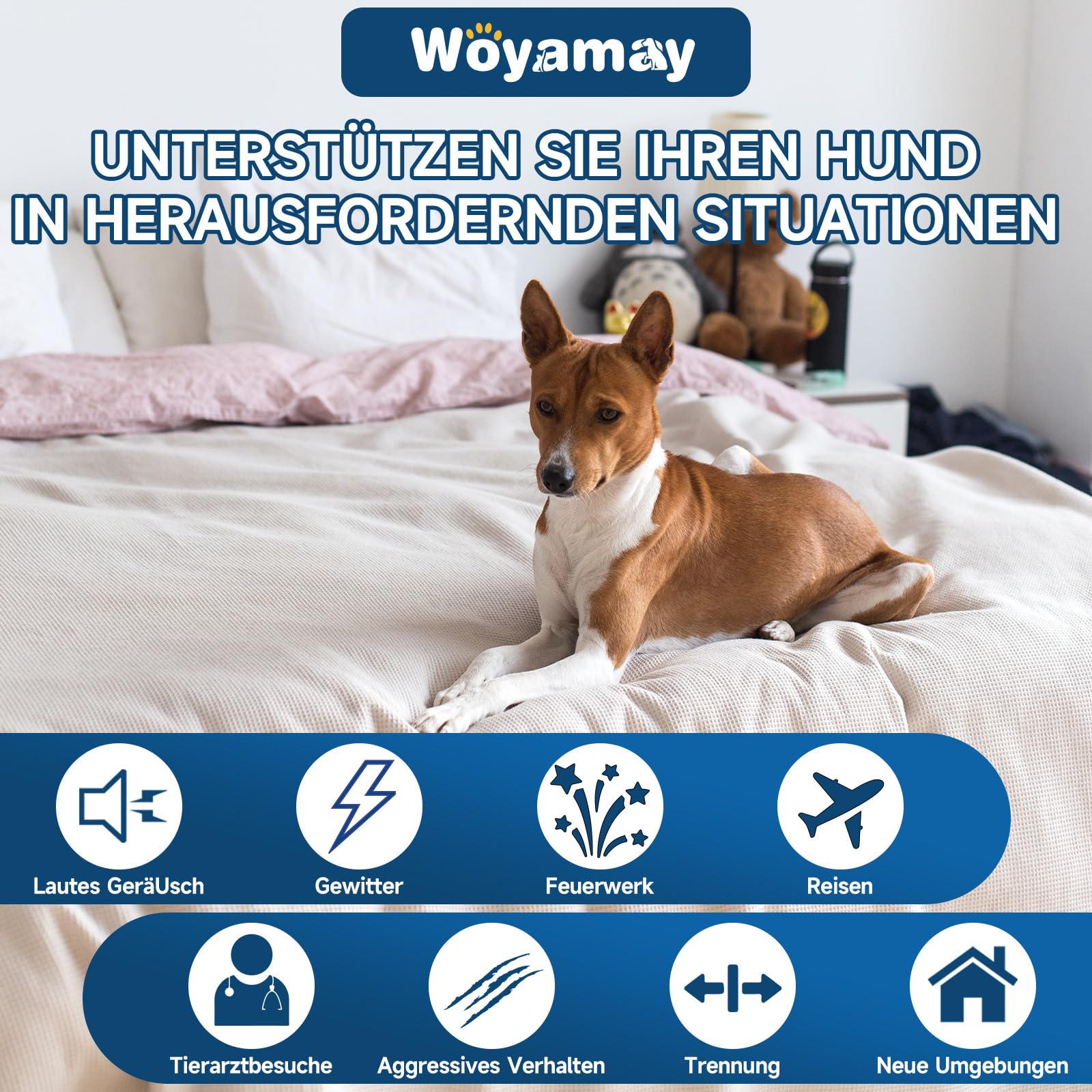 Woyamay Beruhigungsmittel für Hunde-200 Stück Natürliche Beruhigungsmittel Snacks für Hunde, Gegen Trennungsangst, Bellen, Feuerwerk & Gewitter – für Alle Hunderassen, Hähnchengeschmack