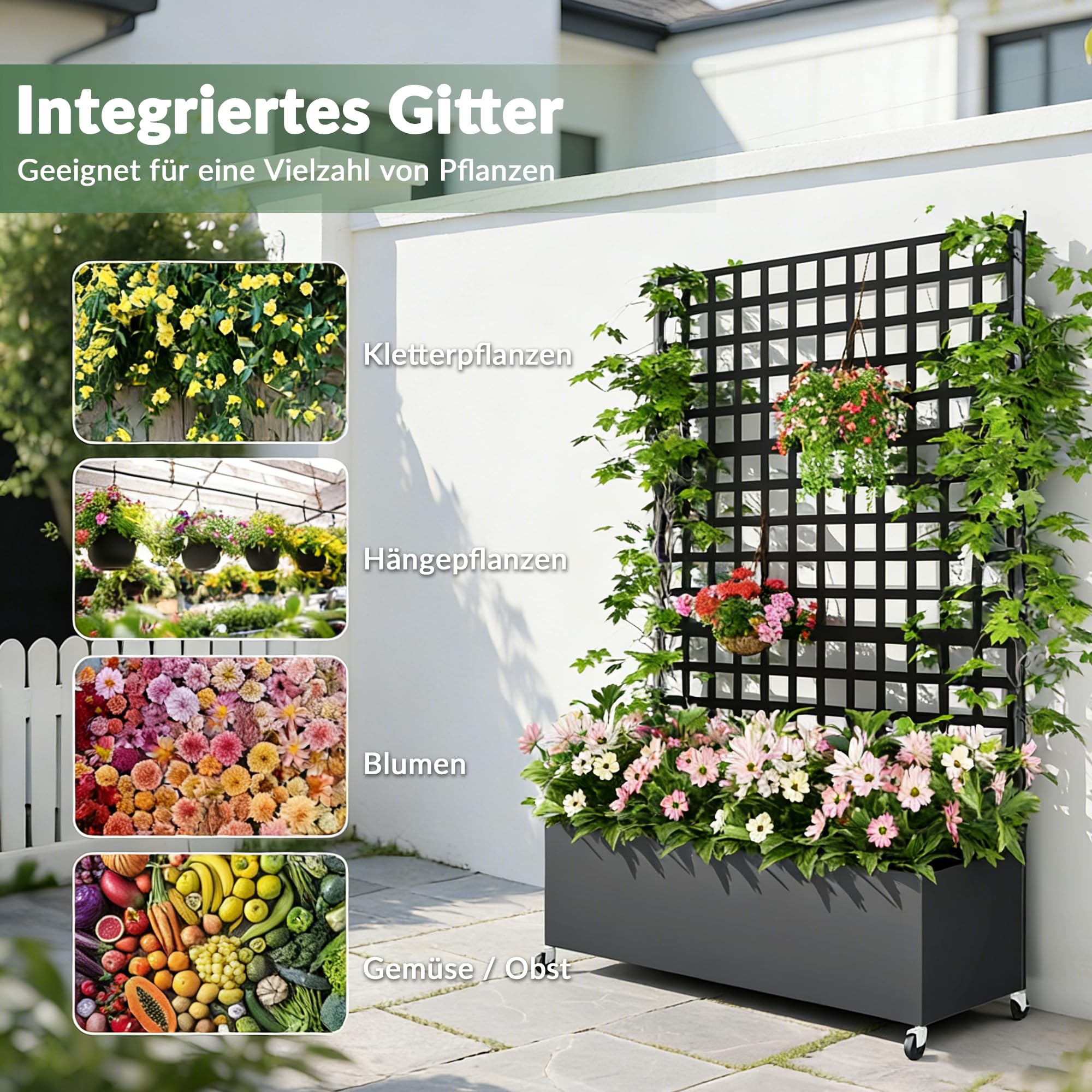 Hochbeet mit Sichtschutz 33cm tief | Metall Pflanzkasten mit Rankgitter & Rollen, wetterfest rostfrei, freistehend für Blumen, Kletterpflanzen, Tomaten, Garten Balkon Terrasse Privatsphäre(2 Stücke)