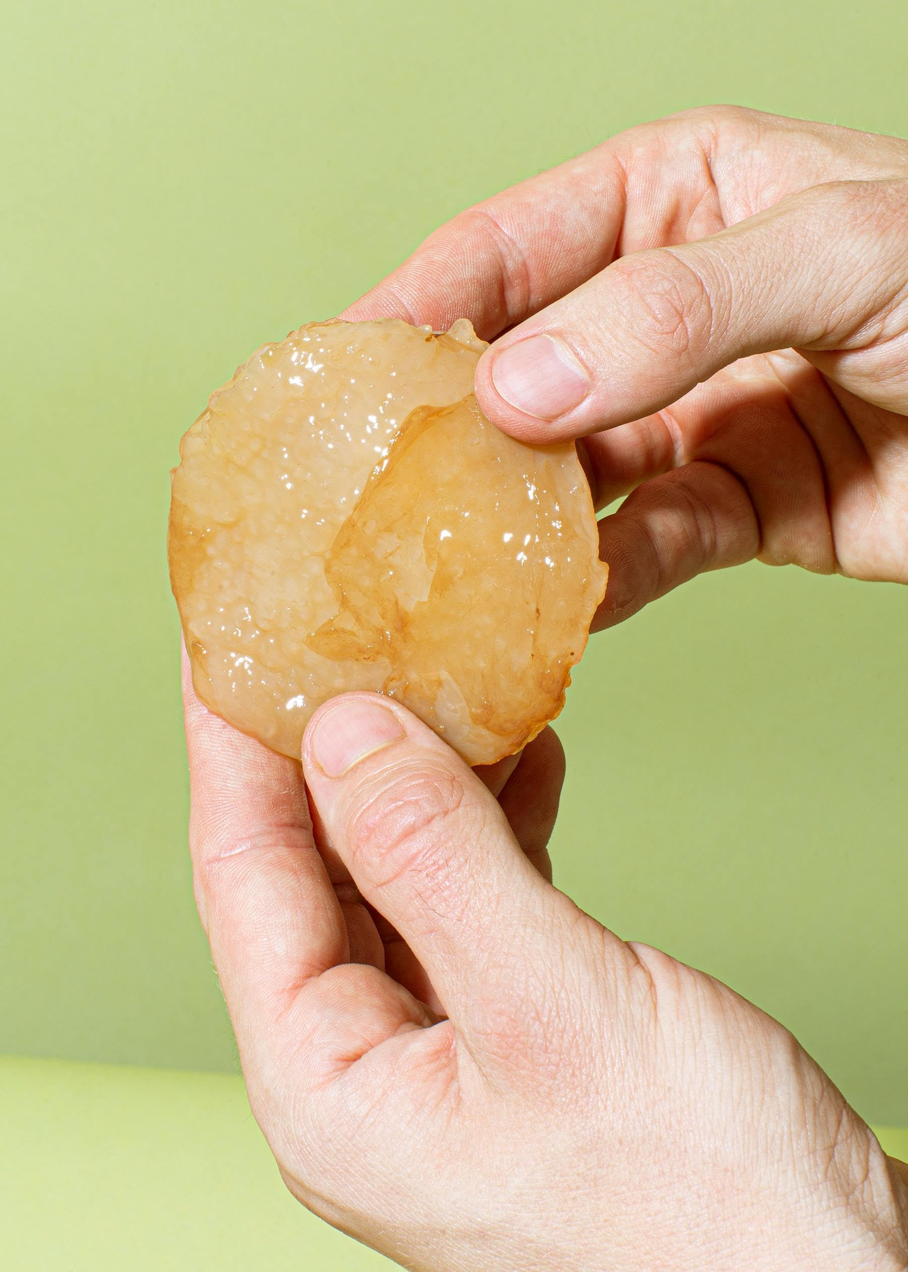 KoRo - Scoby de Kombucha bio