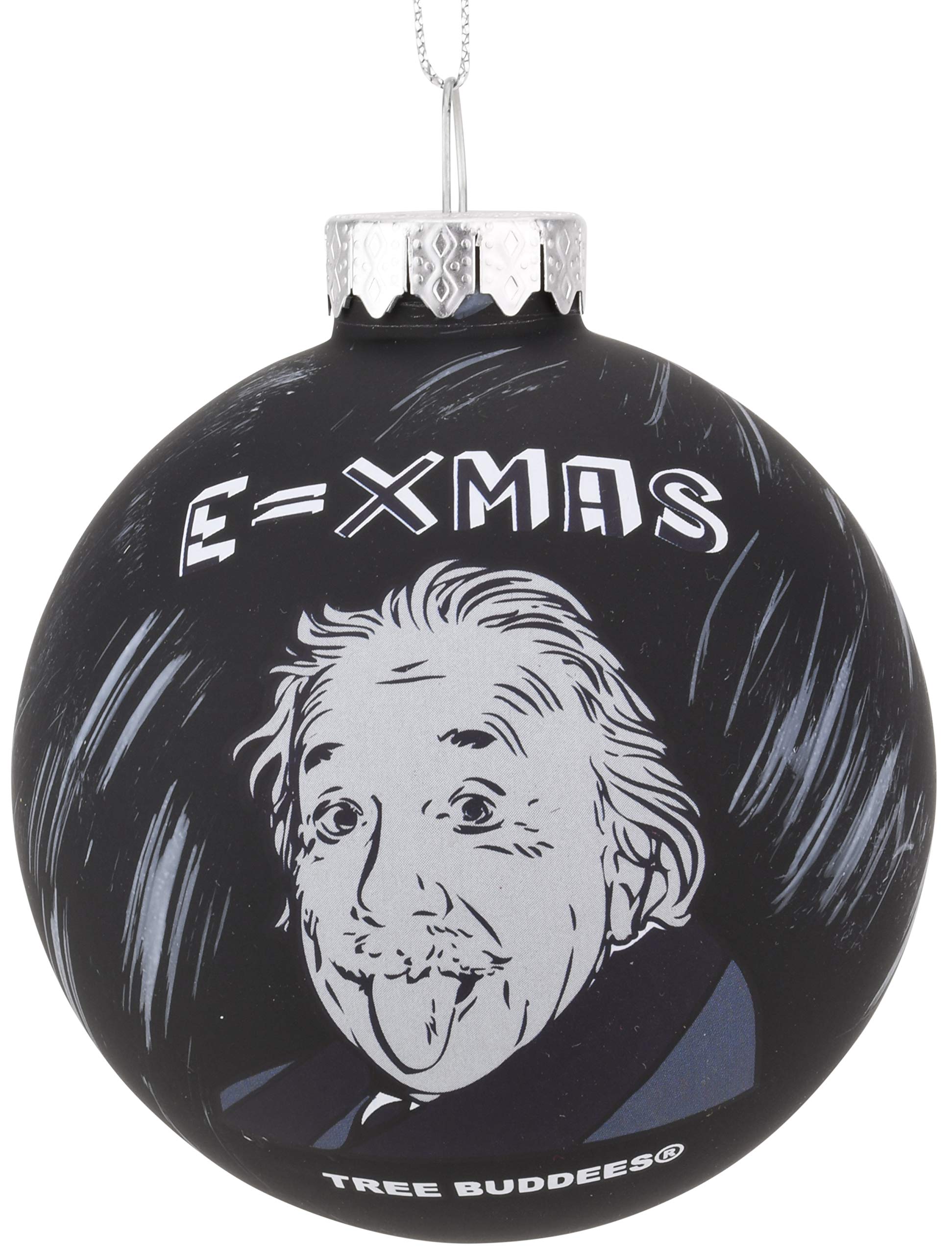 Tree Buddees Physicist Albert Einstein E=Xmas Glass Christmas Ornament