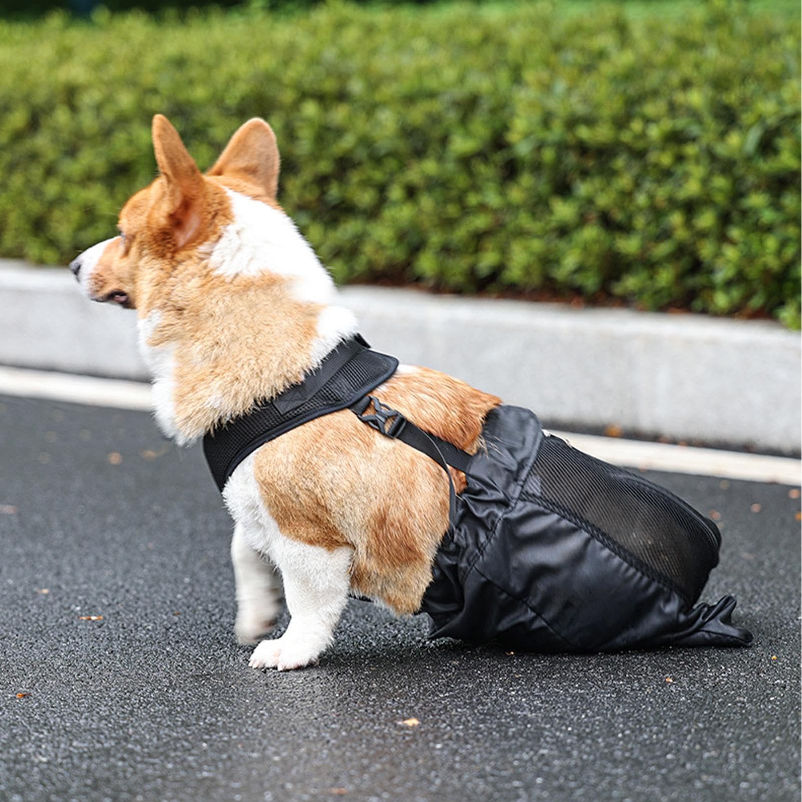 Borsa per Cani, Borsa per Recupero Alternativo della Sedia a rotelle, per Gambe Posteriori e Posteriori, Traspirante, Regolabile, Protettiva, per Proprietari di Animali Domestici, Cani feriti