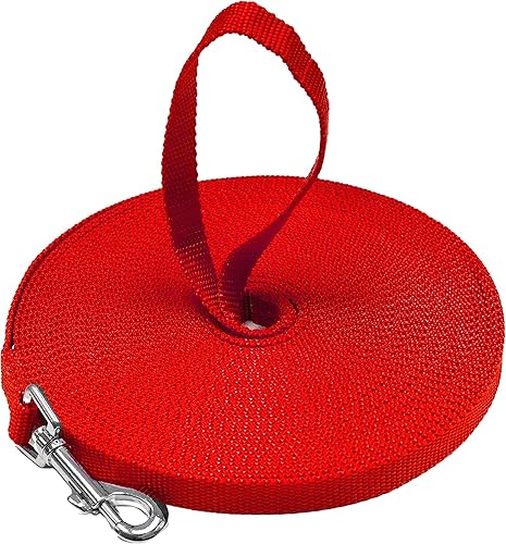 Downtown Pet Supply - Correa de entrenamiento para perros y cachorros ideal para entrenar jugar acampar o patio trasero 46 61 91 15 23 30 46 y