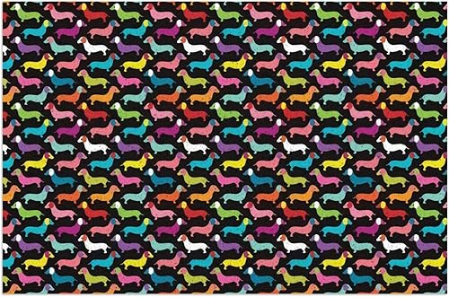 Tapete de bienvenida retro con perro salchicha para exteriores, tapete antideslizante para entrada interior, tapete de patio exterior