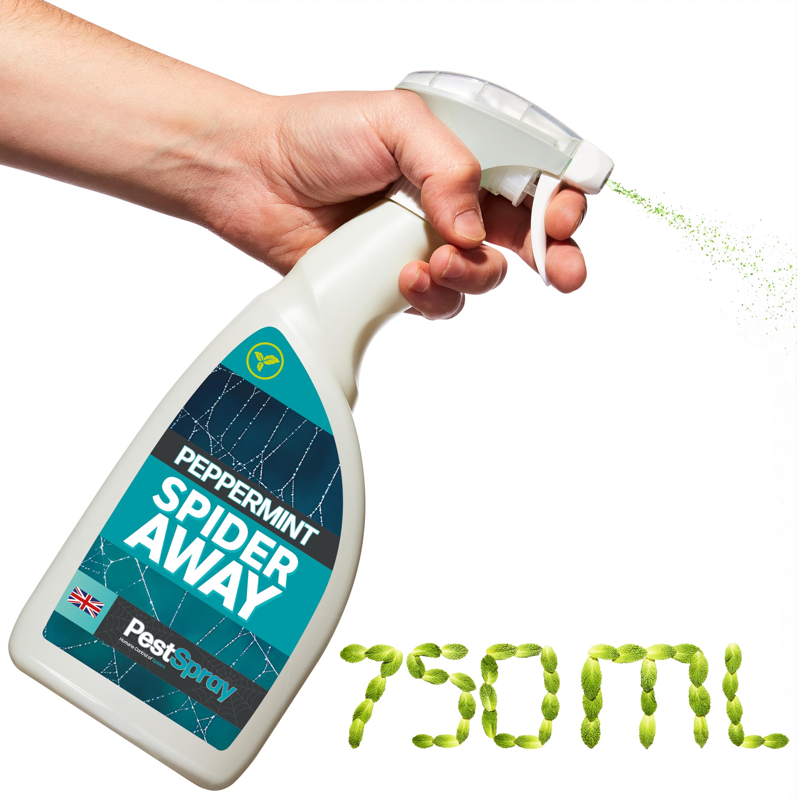 Peppermint Spider PestSpray, Peppermint Oil Spray, Spider Repellent, 750ml Bottle, Suitable Indoor & Outdoor Use