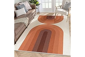 Lahome: Boho Mid Century Modern Rug, 4' x 6'