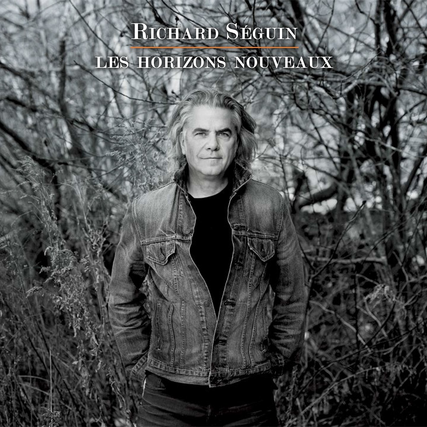 Les Horizons Nouveaux [Audio CD] Richard Seguin