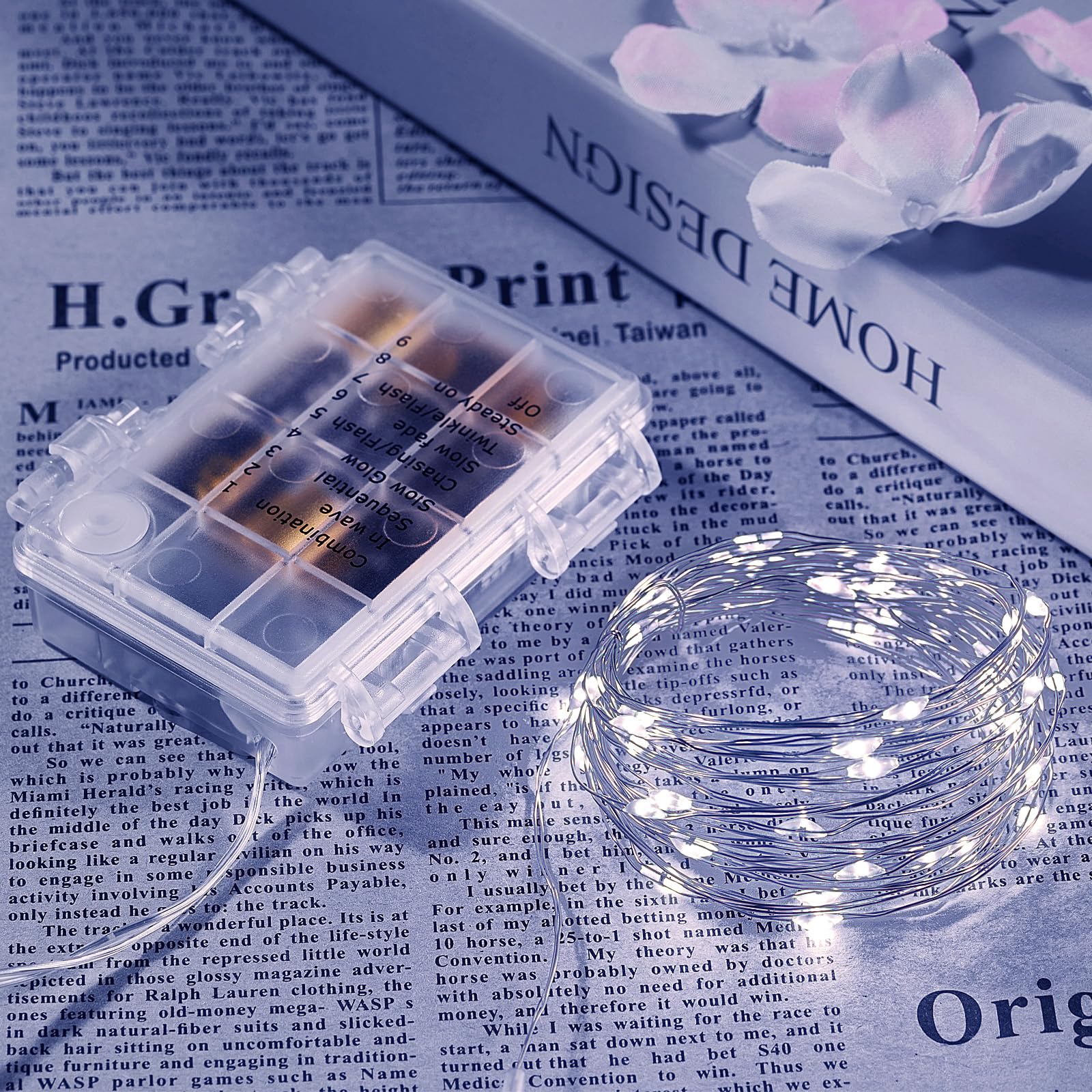 Ariceleo Guirnalda de Luces LED de 20m, 1 Paquete 200 Luces de Hadas a Pilas, Alambre de Cobre Blanco con Remoto, Temporizador & Modo Centelleante, Ideal para Exterior Dormitorio Bodas Navidad