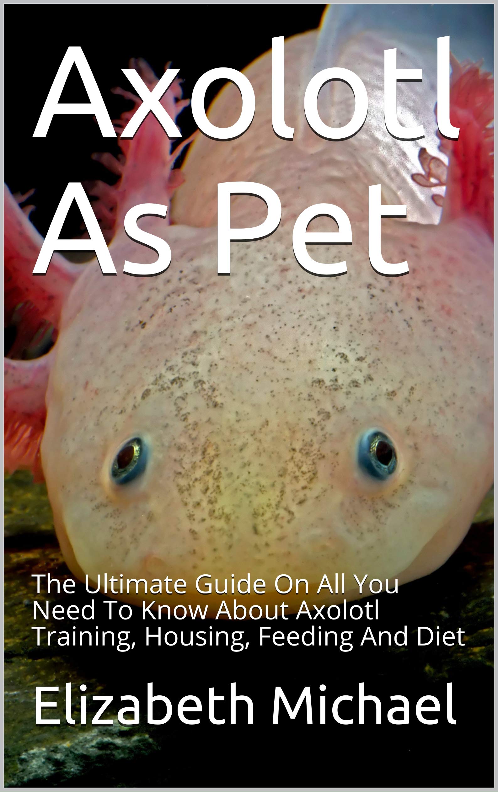 Buy Axolotl As Pet The Ultimate Guide On All You Need To Know About
