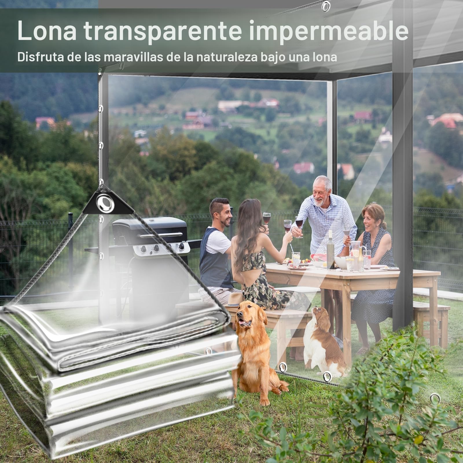 Lona Transparente Impermeable con Ojales de 2 x 1 m, Lona de ProteccióN Toldo Reforzado PVC, Multiusos Lonas Transparente Resistente Proteccin para Exterior Muebles Jardn Plantas (3X4)