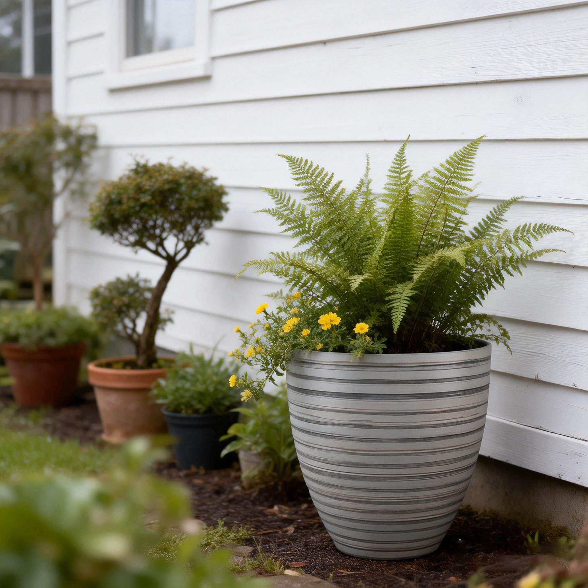View 6