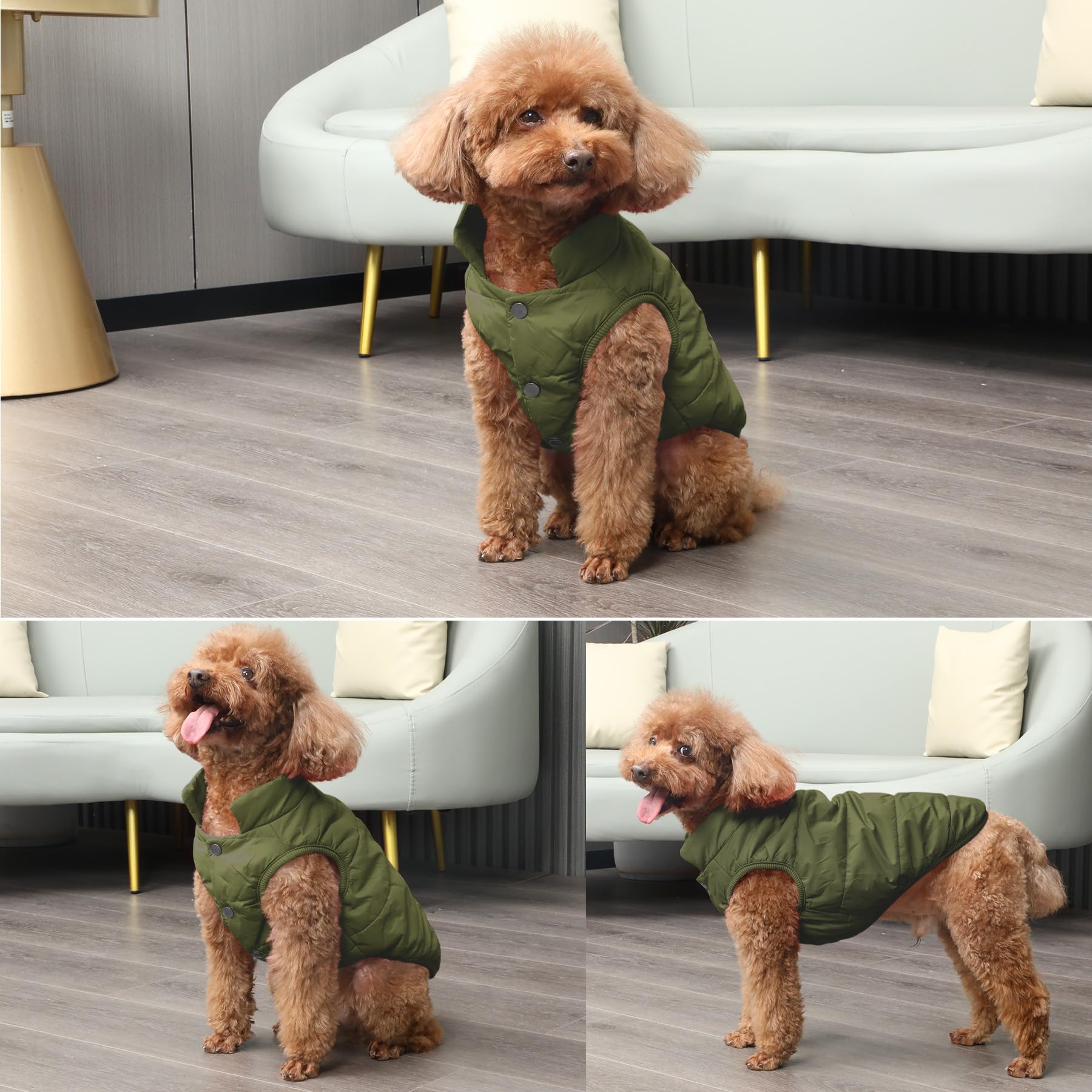 JoyDaog - Cappottino per cani foderato con 2 strati di pile, antivento, molto caldo e morbido, perfetto per l'inverno e il freddo, ideale per cuccioli, verde, XXXL