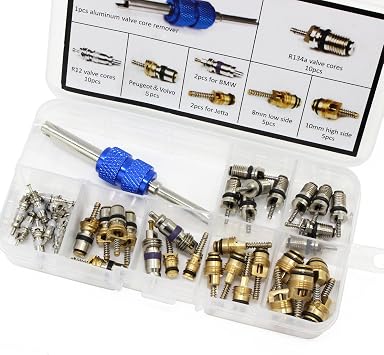 HSEAMALL Conditioning A/C Valve Core R12 R134a Automotive Air Conditioning Refrigeration Tire Valve Stem Cores Remover tool Assortment Kit (40PCS)