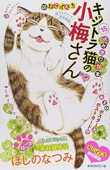 DXねこぱんち キジトラ猫の小梅さん ，15 (にゃんCOMI