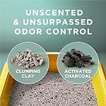 Purina Tidy Cats Clumping Cat Litter, Free & Clean Unscented Multi Cat Litter - 38 lb. Box