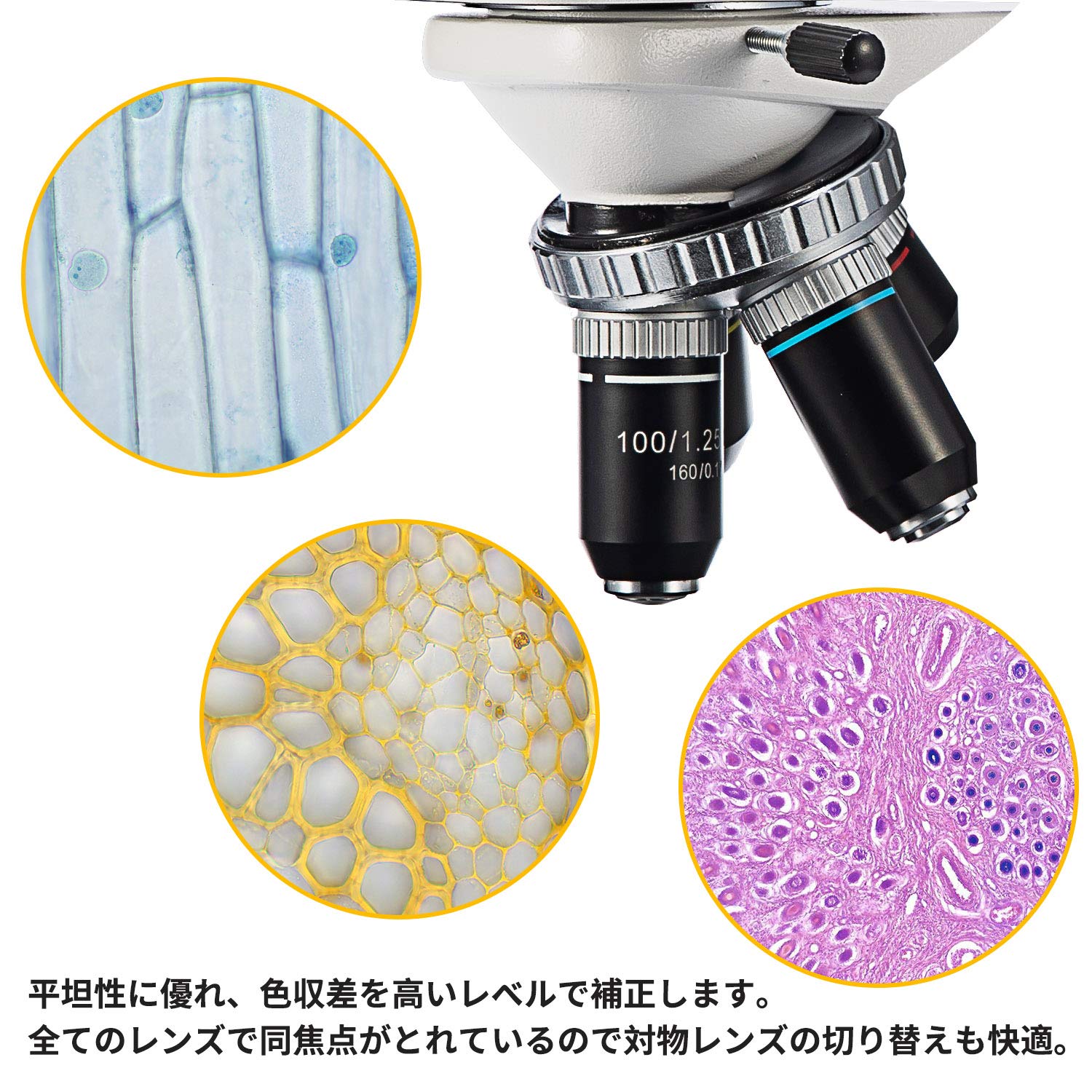 Amazon | SWIFT 双眼 両眼タイプ生物顕微鏡 最大2500X拡大、ジーデン