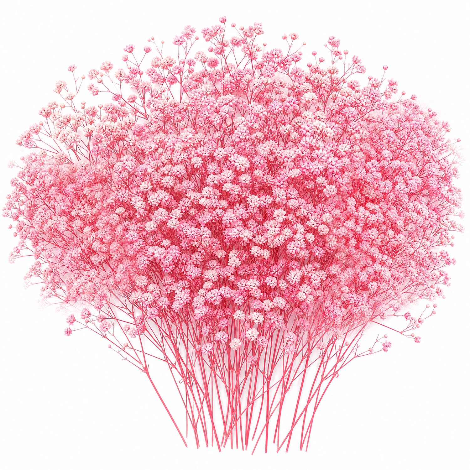 100Pcs Real Natural Dried Gypsophila Flowers, Pink Dried Flowers