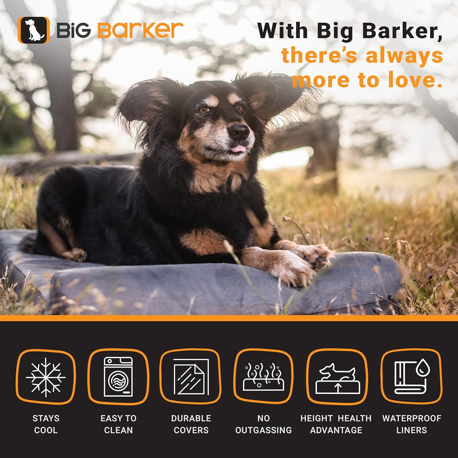 big barker amazon