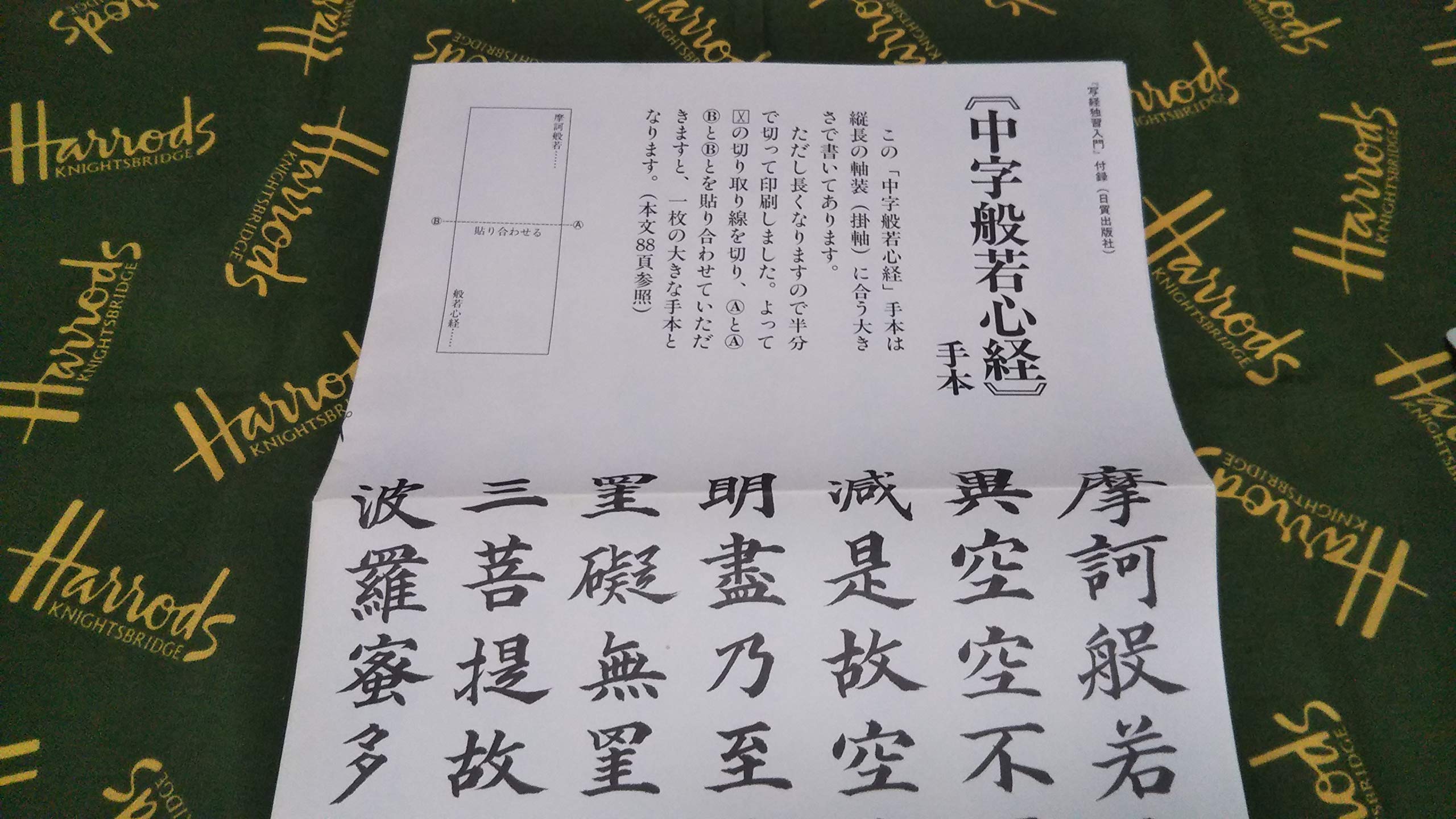 Amazon.co.jp: 岡沢 禎華: 本、バイオグラフィー、最新アップデート
