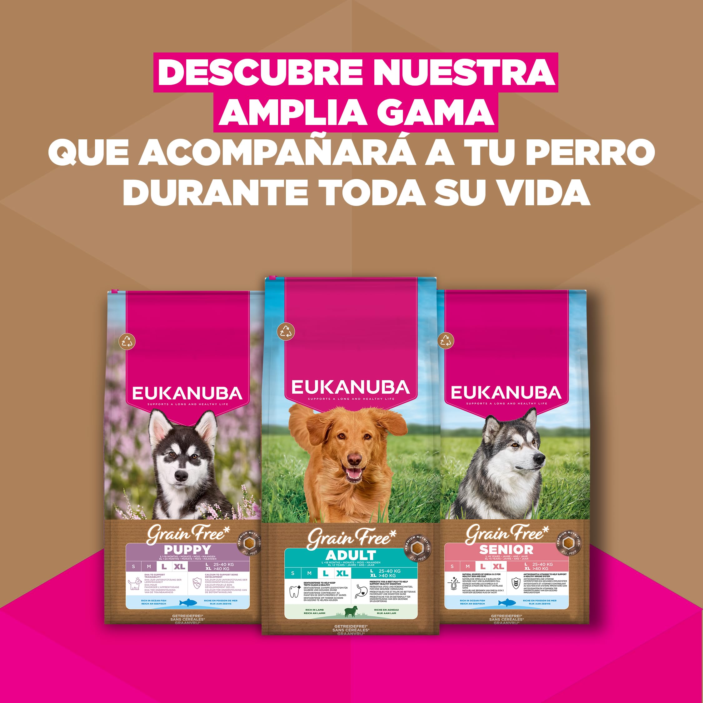 Eukanuba, alimento para Perros sin Cereales con Cordero para Razas Grandes - Alimento seco Premium sin Cereales para Perros Adultos, 12 kg