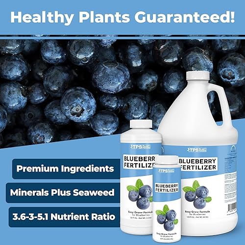 Miniatura 2 de Fertilizante de arándanos para jardines de frutas y bayas amantes del ácido, alimento líquido para plantas, 8 oz (8.5 fl oz)