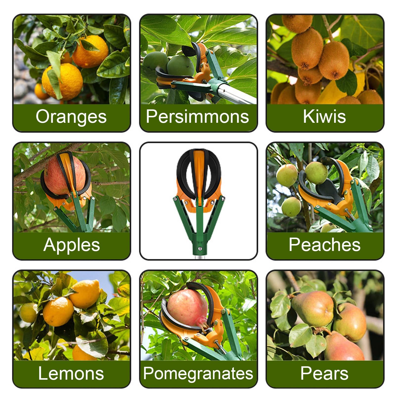 cueille-Fruits, Perche réglable en Aluminium de 39 à 59 Pouces, Outil cueillette Multi-Fruits, Attrape-Fruits for Pommes et Oranges, Facile Utiliser