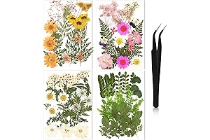 Nuanchu Edible Pressed Flowers: Elevate Your Culinary Delights