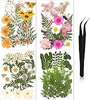 Nuanchu Pressed Dried Flowers Bulk for Resin Crafts - 68pcs Natural White Wildflowers Daisy with Tweezer for DIY Candles Jewelry Scrapbooking