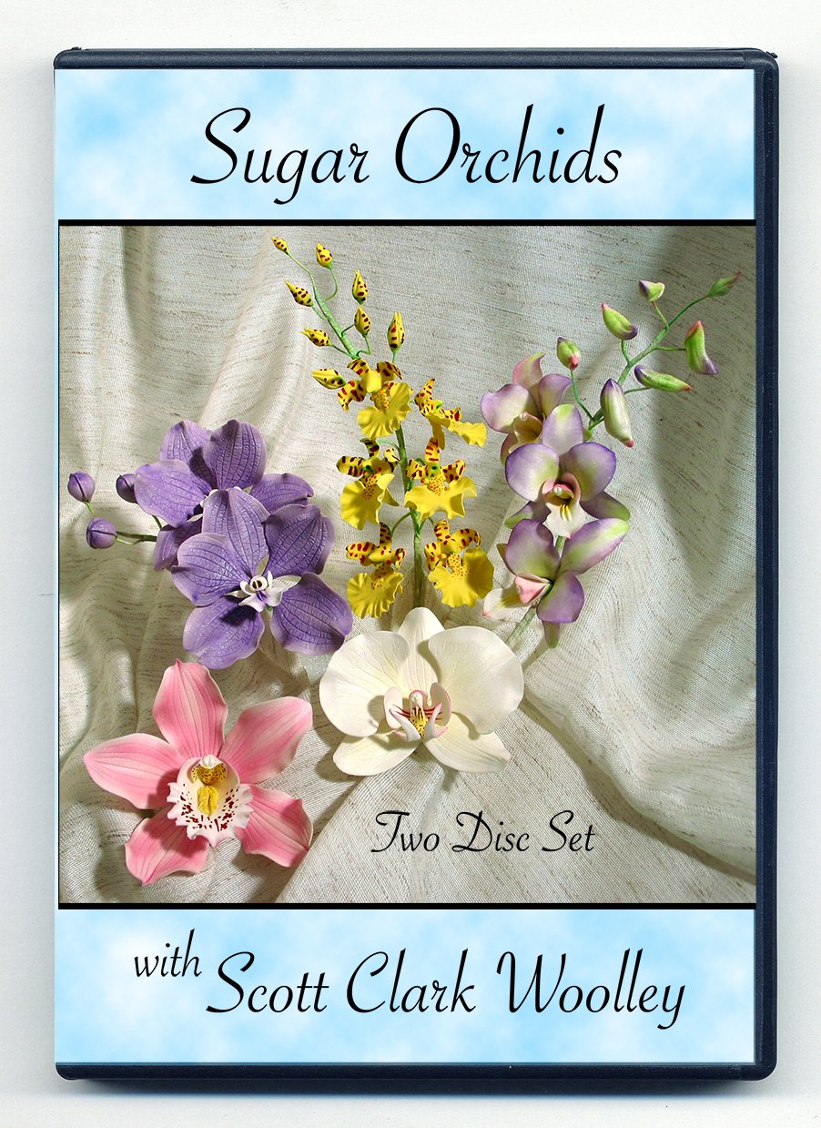 Sugar Orchids with Scott Clark Woolley