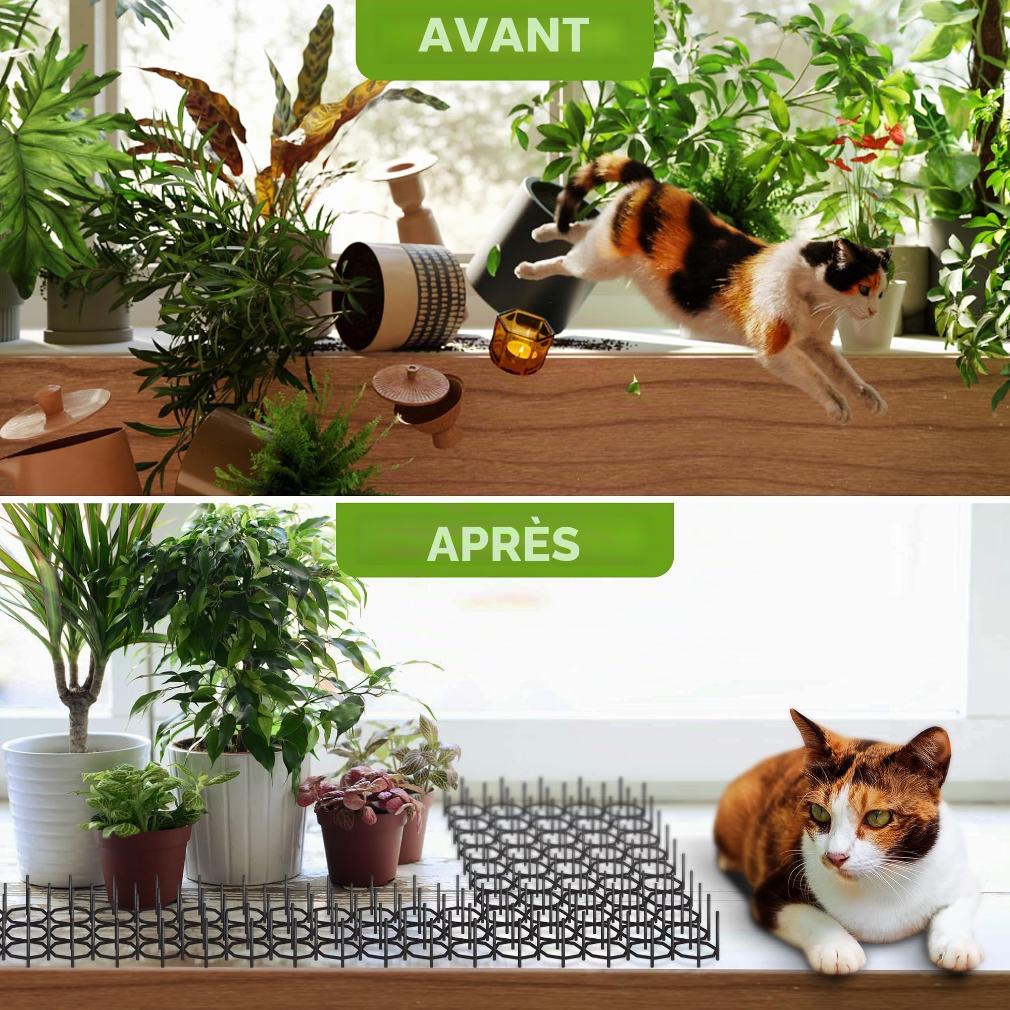 ISOTRONIC Tapis Anti-épines Contre Chats, martres et Chiens – Protection pour Jardin, Arbres, Maison et Voiture – Grillage Anti-griffures modulable – Surface 1,5 m² – Lot de 24 pièces Robustes
