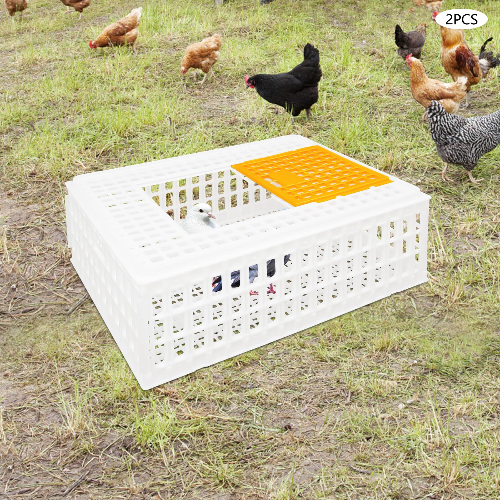 WooDerson Jaula de transporte de plástico para pollos, pollos, cesta para aves de corral, pájaros, patos (blanco, 2 unidades)